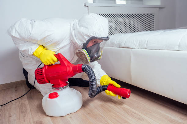Best Affordable Pest Control Services  in Leilani Estates, HI