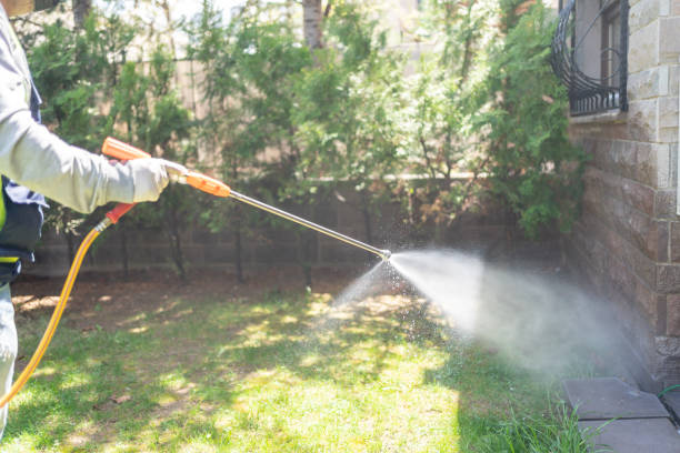 Best Local Pest Control Services  in Leilani Estates, HI