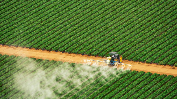 Best Best Pest Control Companies  in Leilani Estates, HI