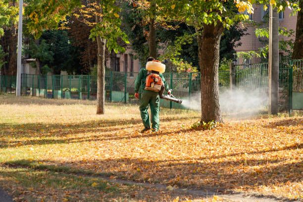 Best Mosquito Control Services  in Leilani Estates, HI