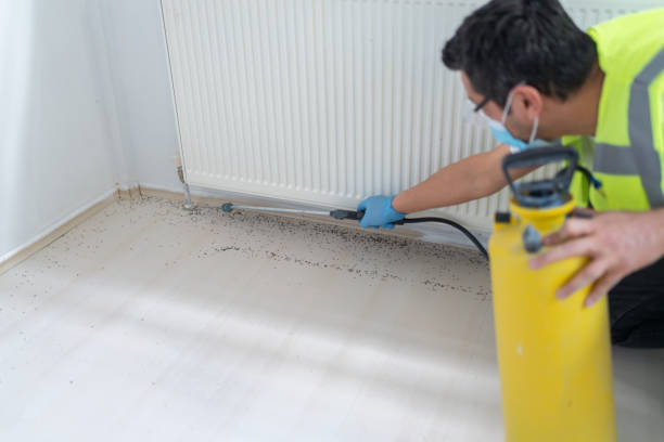 Best Exterminator Services  in Leilani Estates, HI
