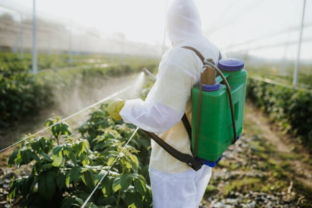 Best Wasp Removal Services  in Leilani Estates, HI